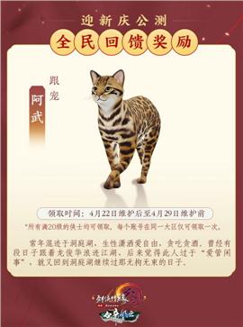 怎么运营天龙八部私服